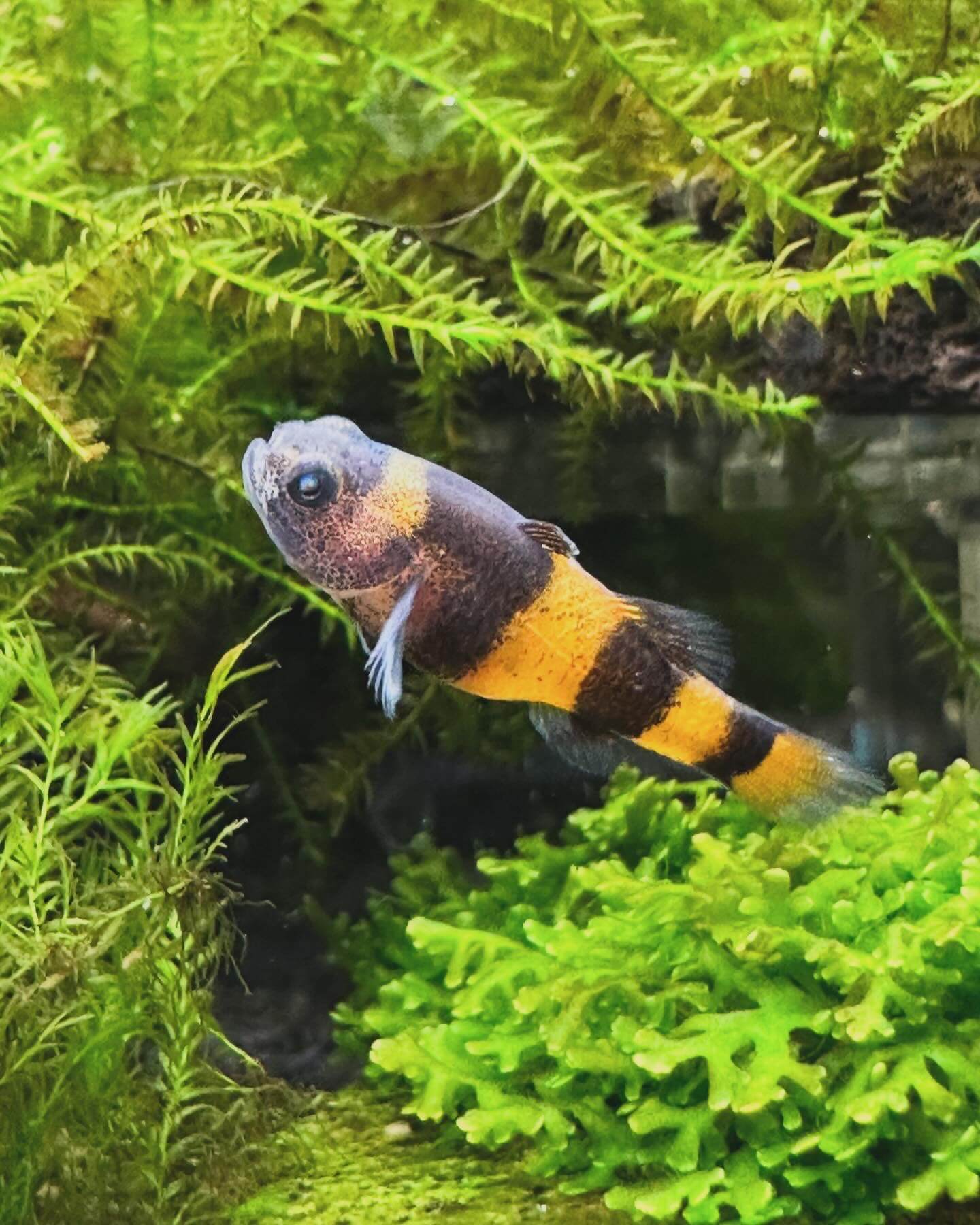 B0D67B27-5F32-4BD6-B107-BCBEFB45486B